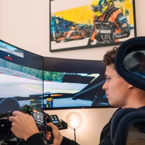 F1 simulator